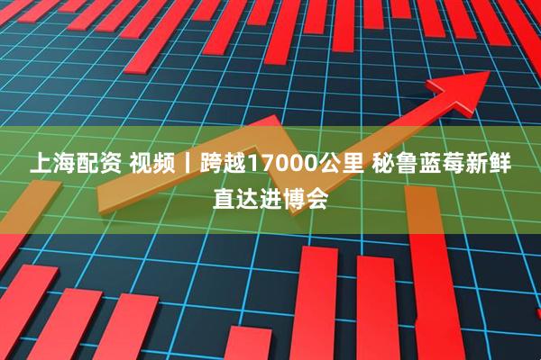 上海配资 视频丨跨越17000公里 秘鲁蓝莓新鲜直达进博会
